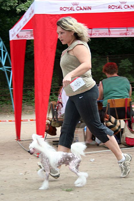 Narciss Black of Channel