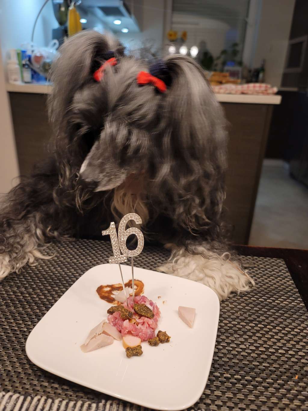 Shadow White Orionida