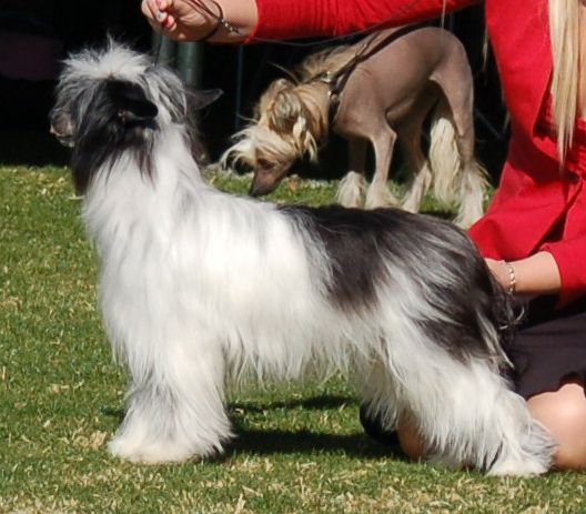 Shida Lil Somethin Extra