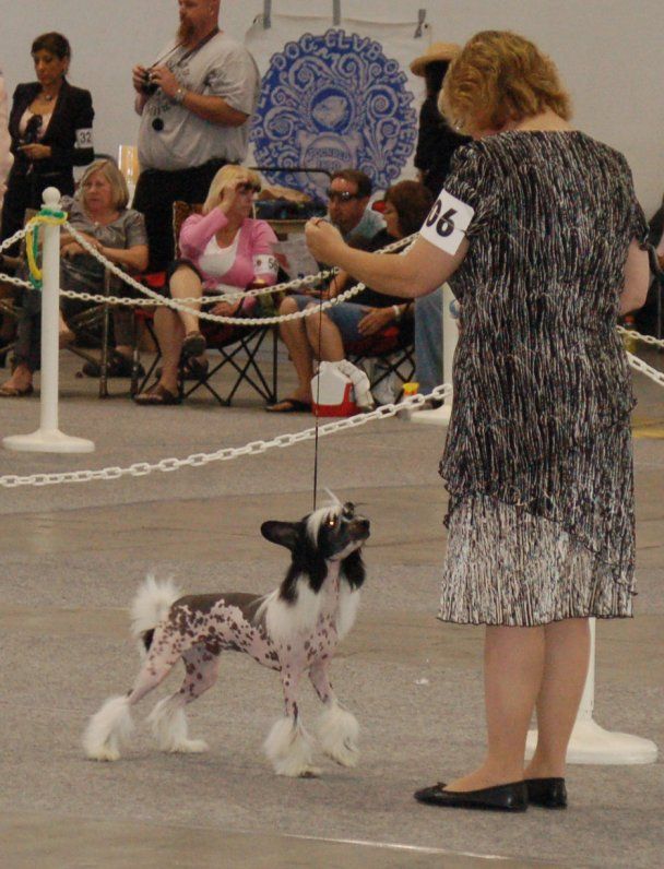 Shida Just Push Play