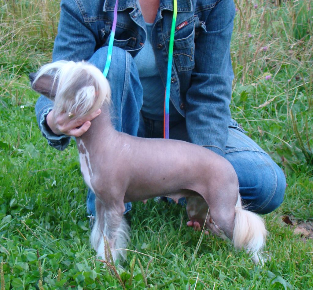 Iya Nefritovaya Lisa