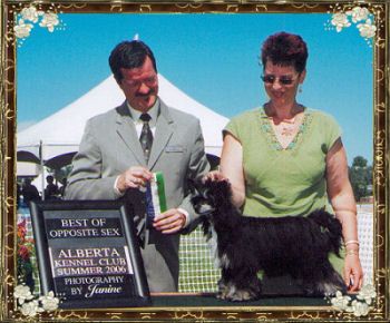 Sunberry's Lucy in the Sky