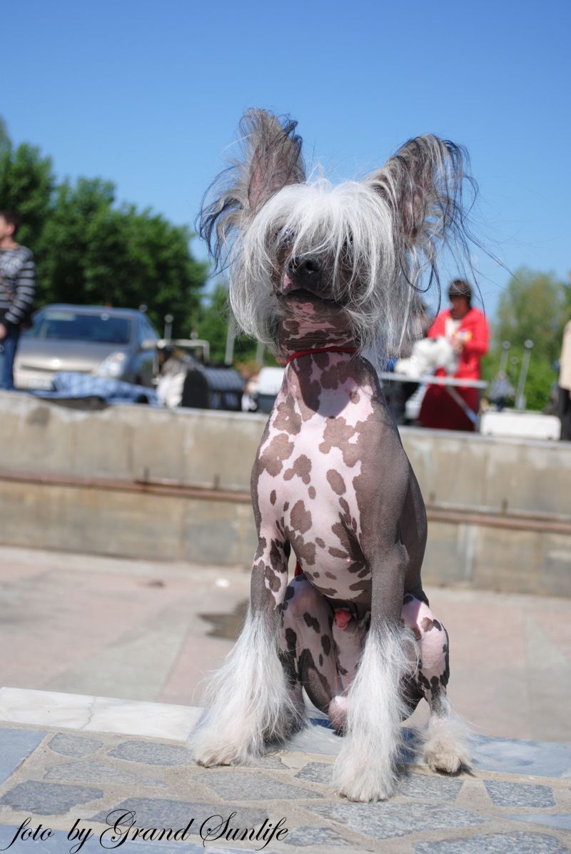 Kristal Yaniry Barhatnyi Sezon