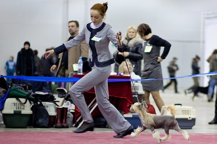 Olegro Katrin Kristabel