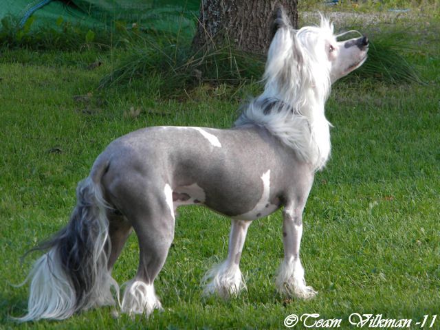 Väråsen Keep An Eye On Me