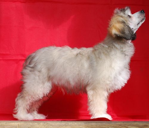 Väråsen Keep On Running