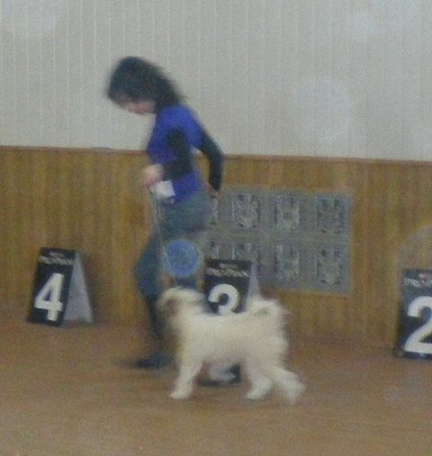 Olegro Katrin Moonlight