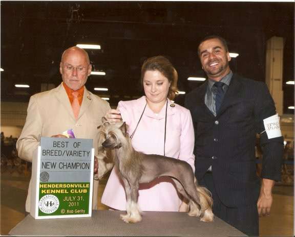 Olivera's Sticky and Sweet HL