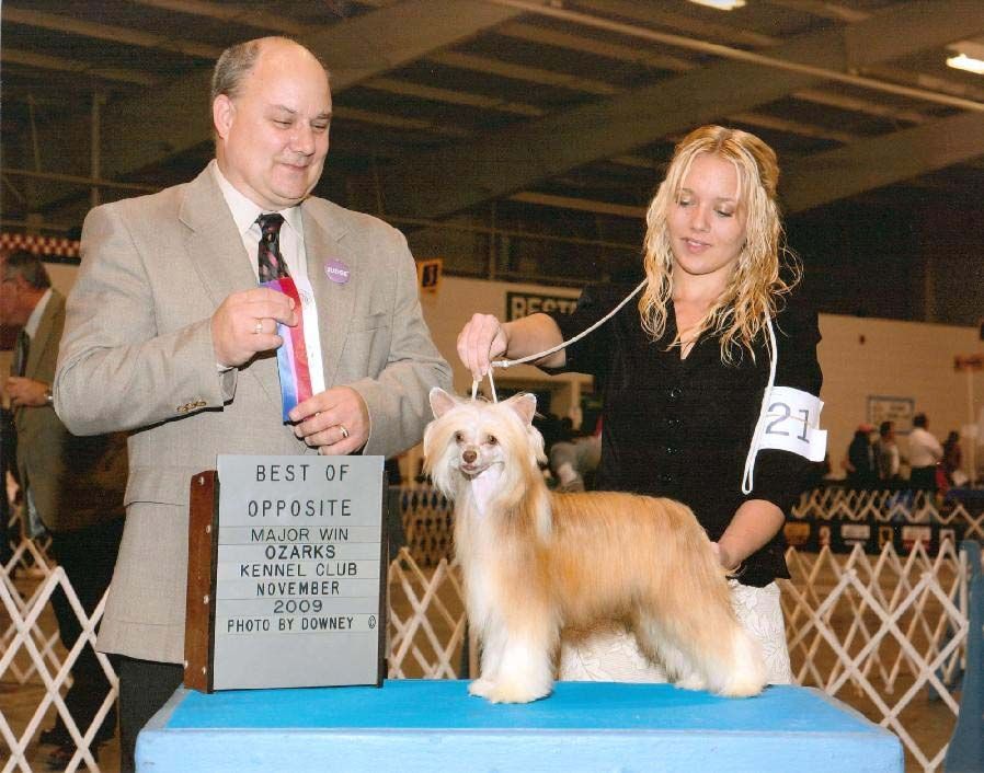 Crestyle 's All Eyez On Me