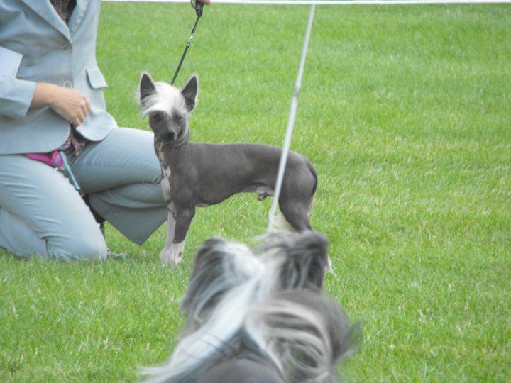 zerachiel the real deal