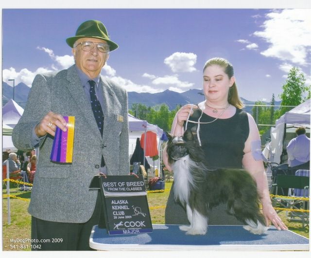 Baldpark High Stakes Gambler In D'Nude