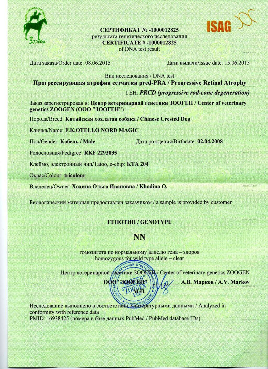 Fantastik Kashmir Otello Nord Magic