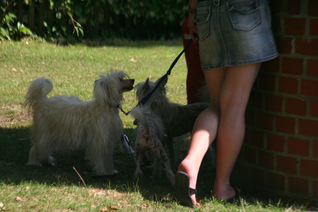 Verona Due Donna Diamond Place