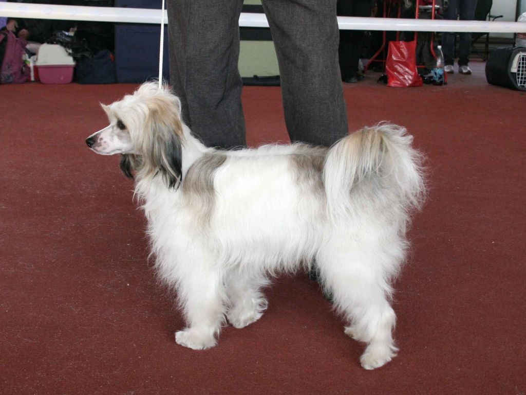 Ermak God's Blessing