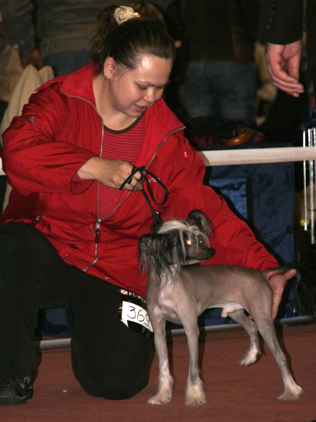 Aleksandr Velikiy Sun De Lion