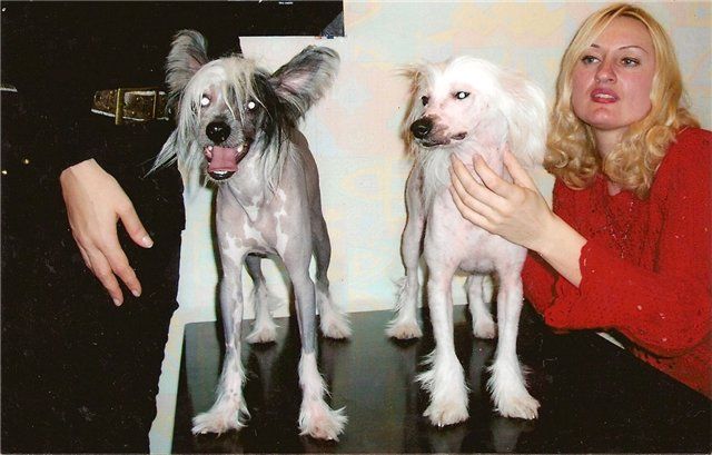 Neikid Jevel Izuminka