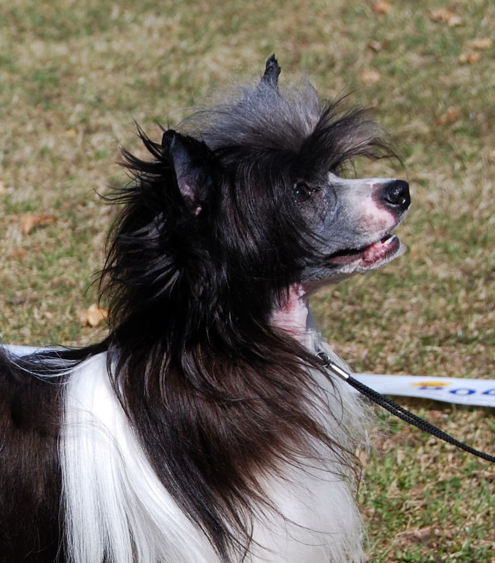 Cool Crowd's Here's Bree Wan Decamp