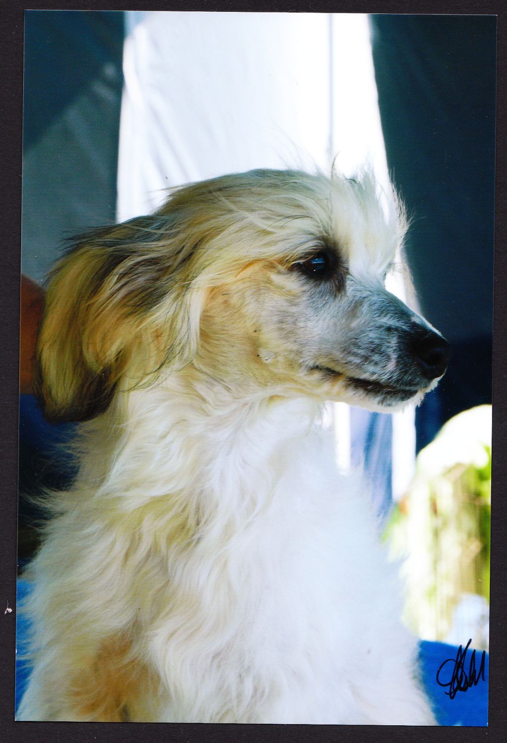 Goolarabang Great Escape