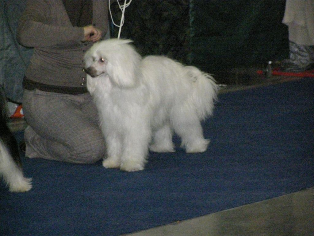 Alexis Senvert Hills