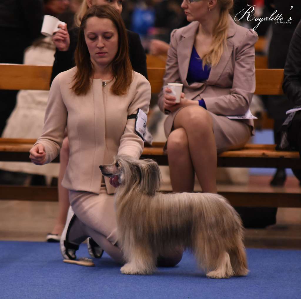 Ingrus Sherlok Holms