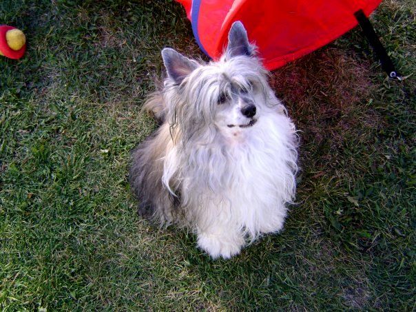 TiLea's Dressed to Thrill