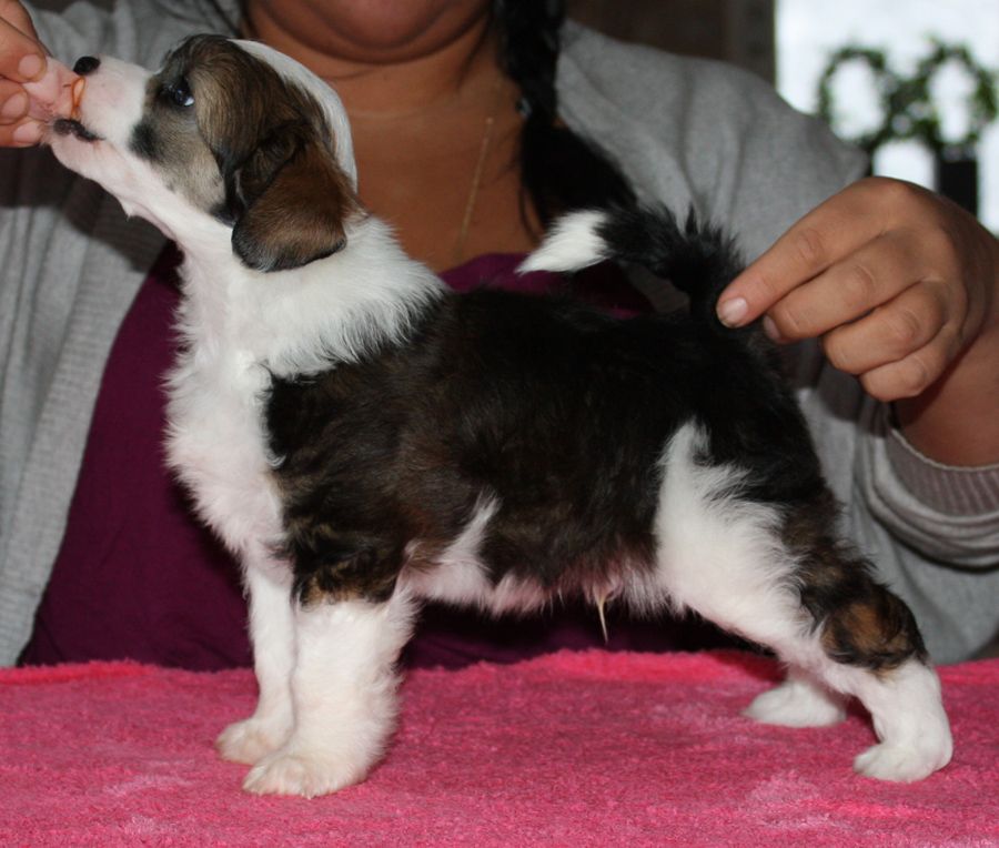 Sun-Hee's Powder Motown Slick