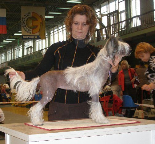 Ladushka dlya Zholesk ot Lyali Beloy