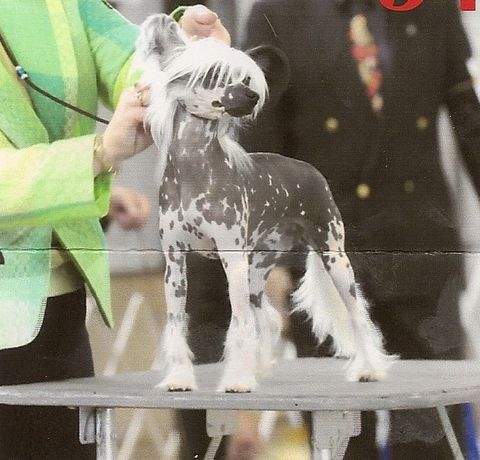 EverCrest-JRF The Dirty Doll