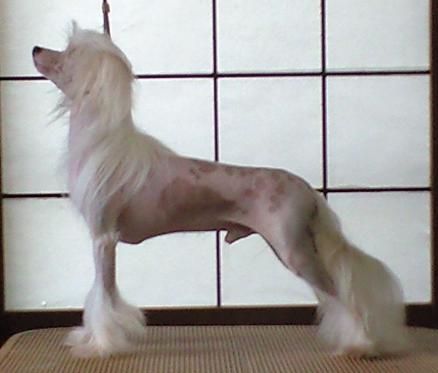 Rino Anne JP Keep A Secret