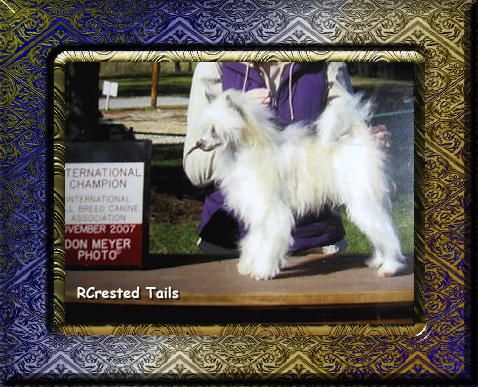 Tapscott's Pisto Of Tinks Toys