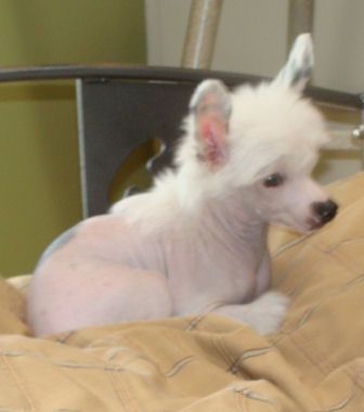 RyLaur's Take a Second Look