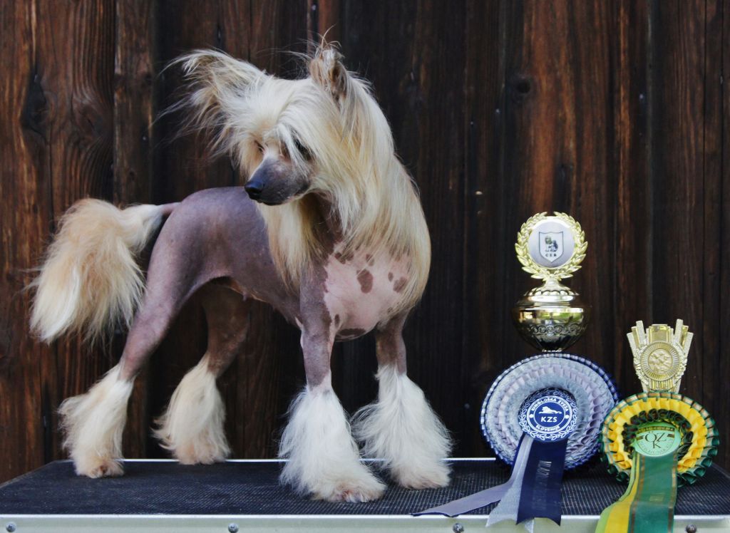 Caipirinha's LaToya Liberty