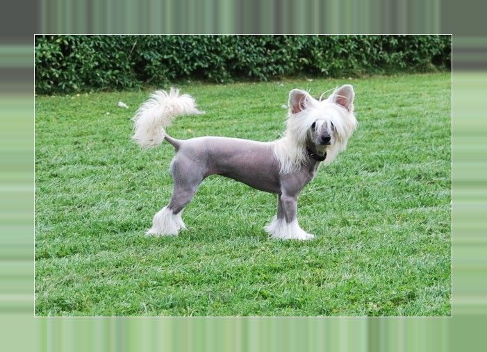 Beauty of XLNZ One surprise