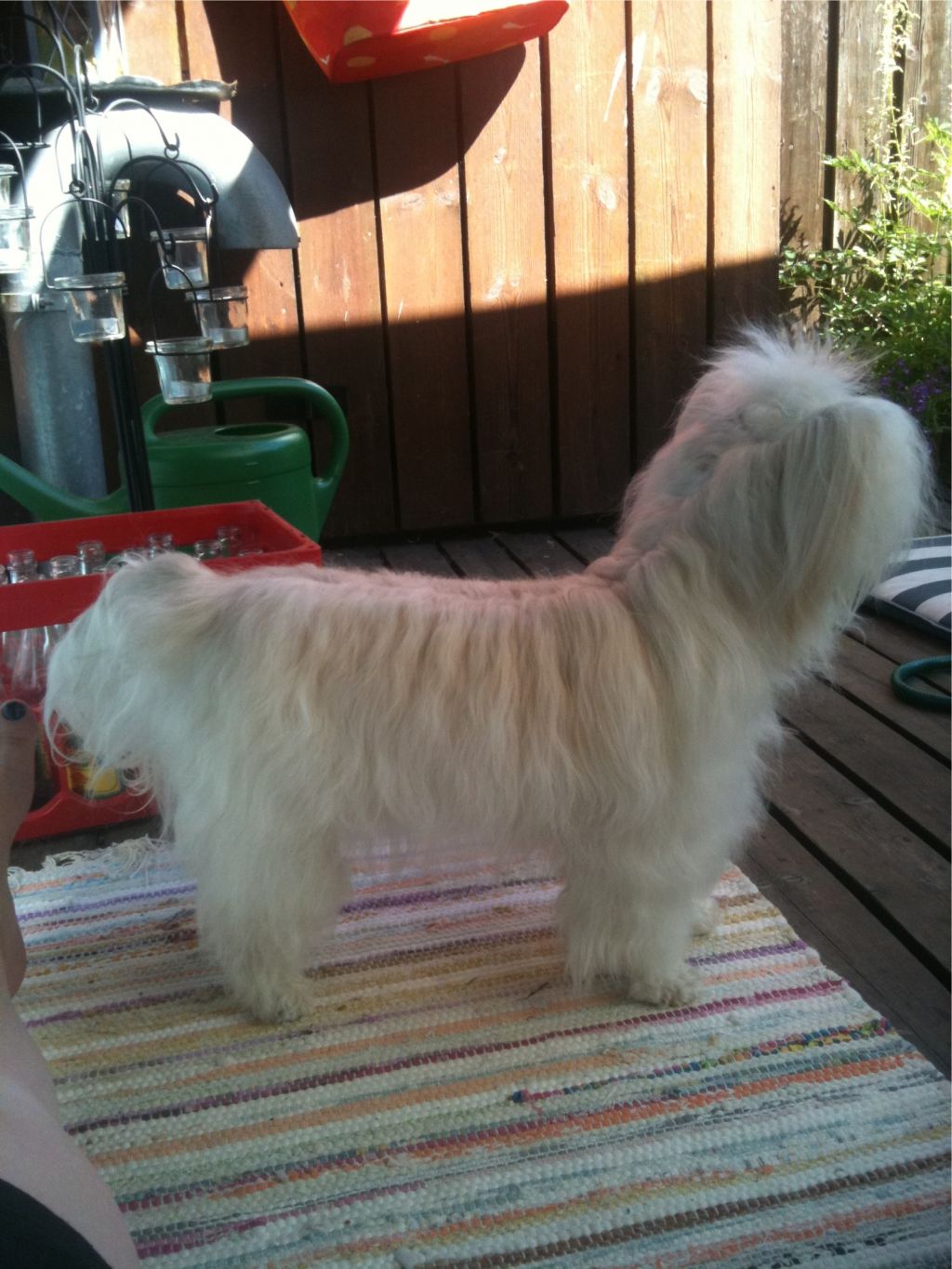 Beauty of XLNZ One true love