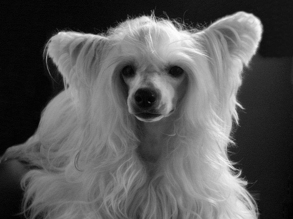 QuiinCharme's Don't Stop Walk On Top