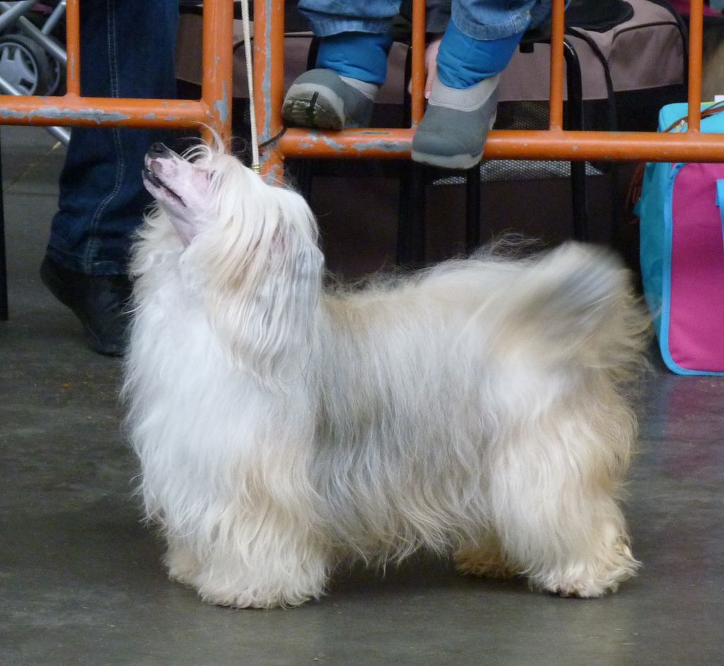 (ch) Djebeleene du Doux Mystère