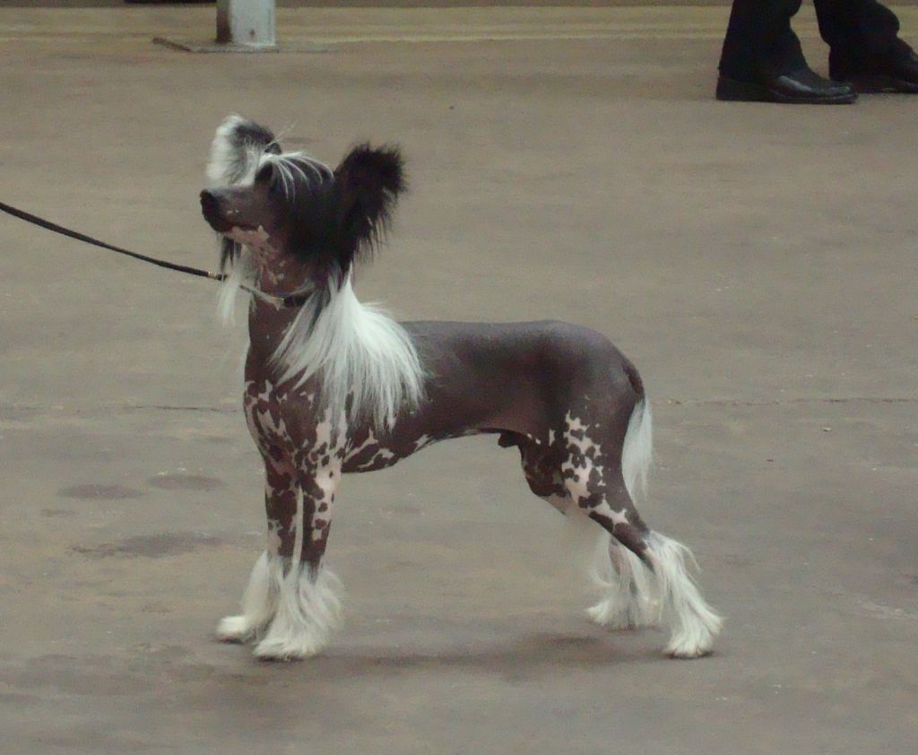 Doonbeg kaleidoscope for Brodiegan