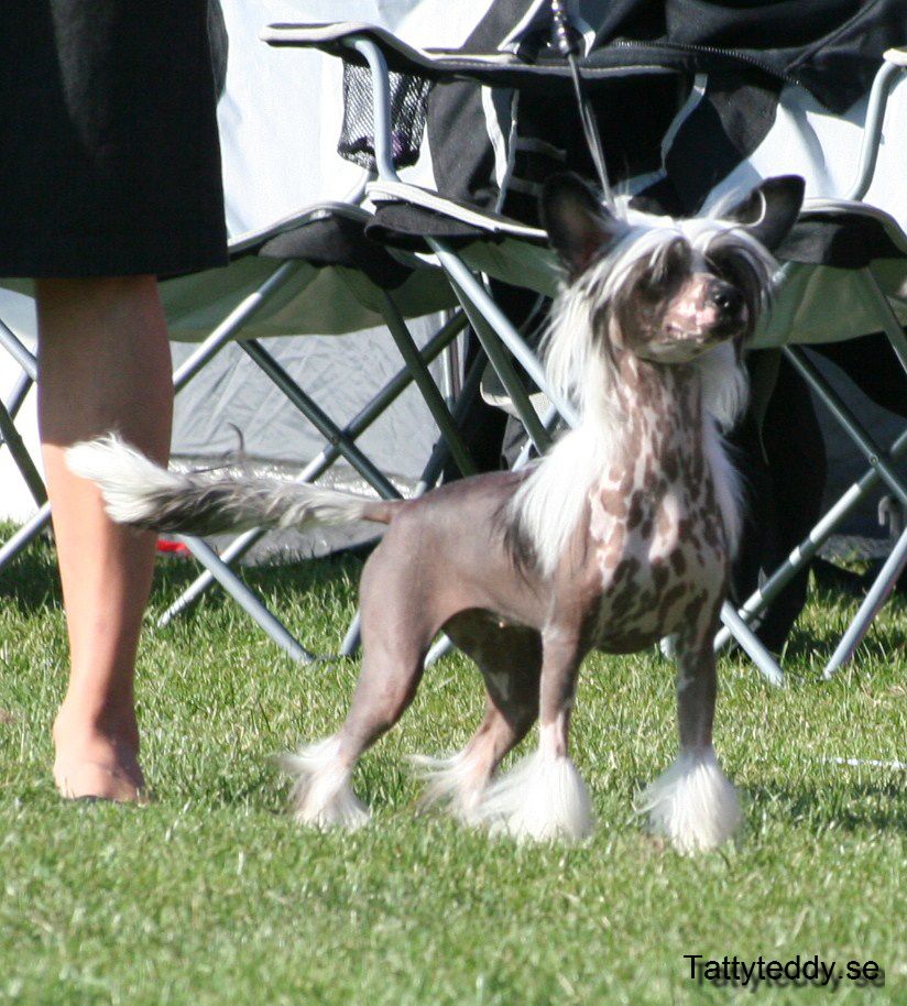 Bed-ma's A touch of magic