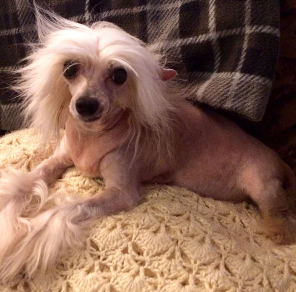 Spiritual Living It Up