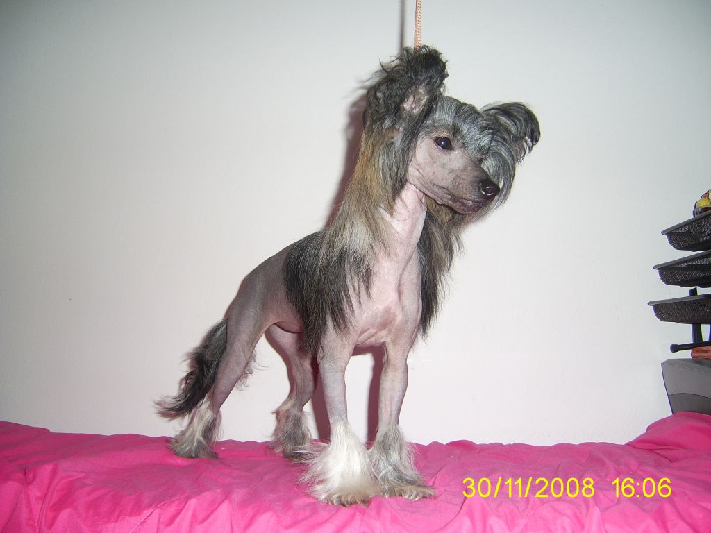 All stars in heaven Mi Amarth