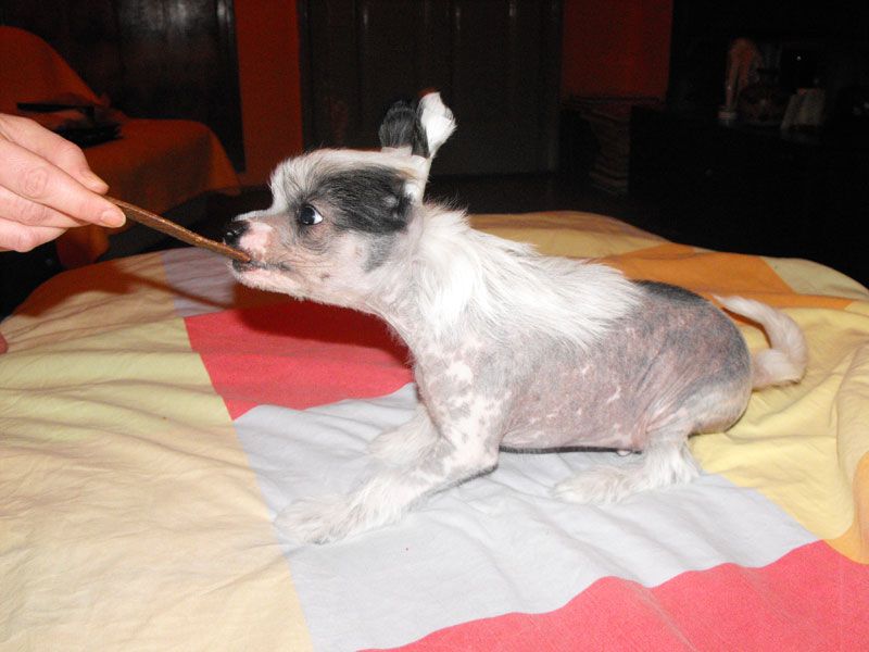 Landust Lord of the Darkness