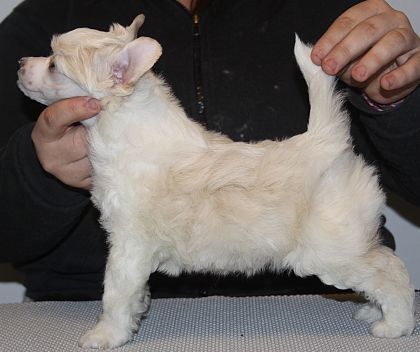 Aquacrest Done With Her