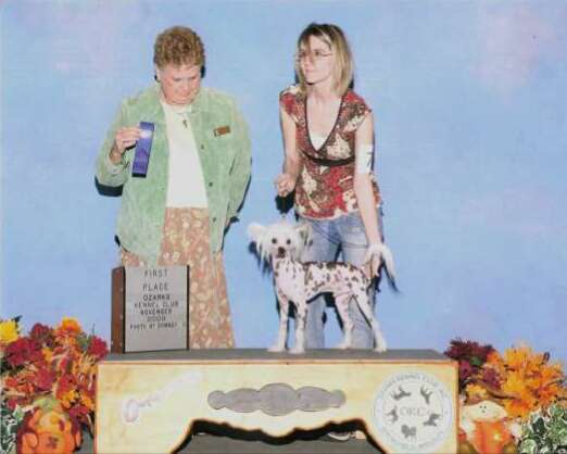 Baldparks Romeo In Love at Xpozures