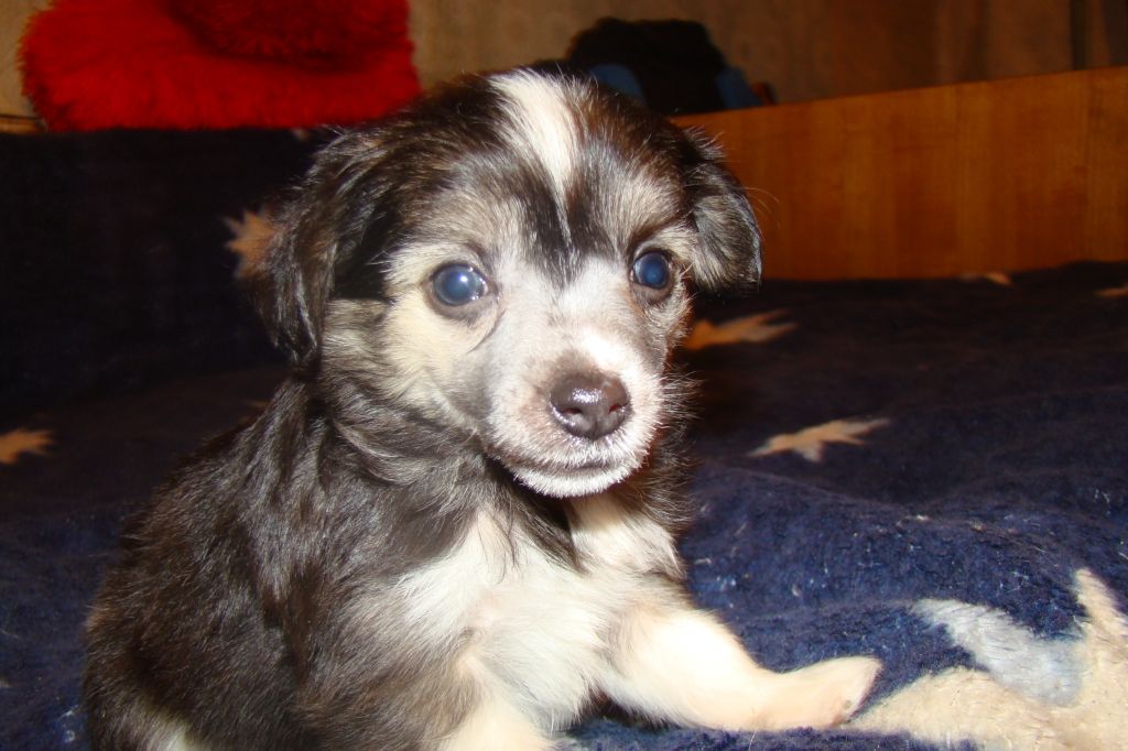 Kristal Yaniry Berlioz