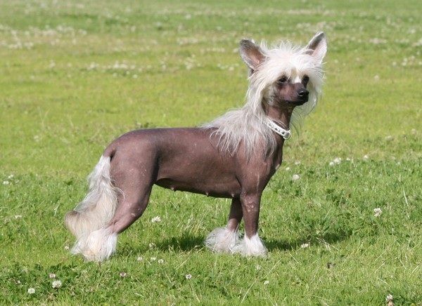 Moelmo's Eye For Perfection