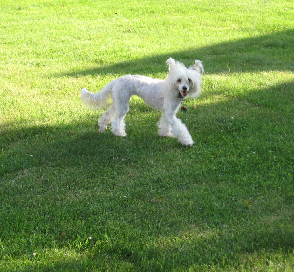 Tri-Cas Talk About the Attitude