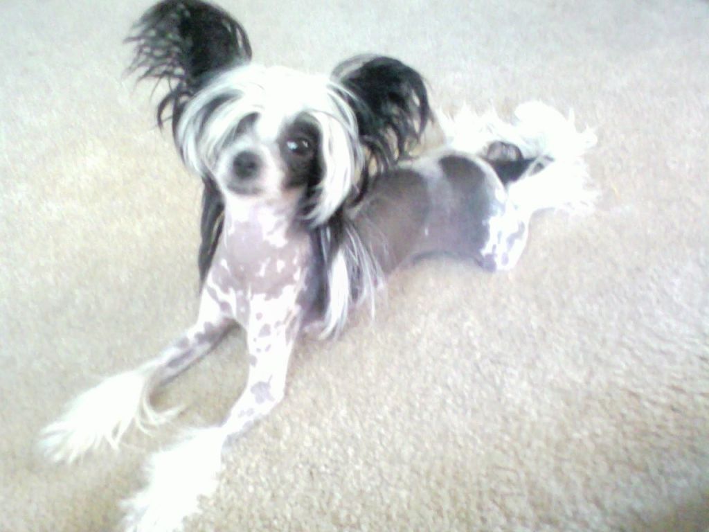 Celestial Dance Of Seven Veils