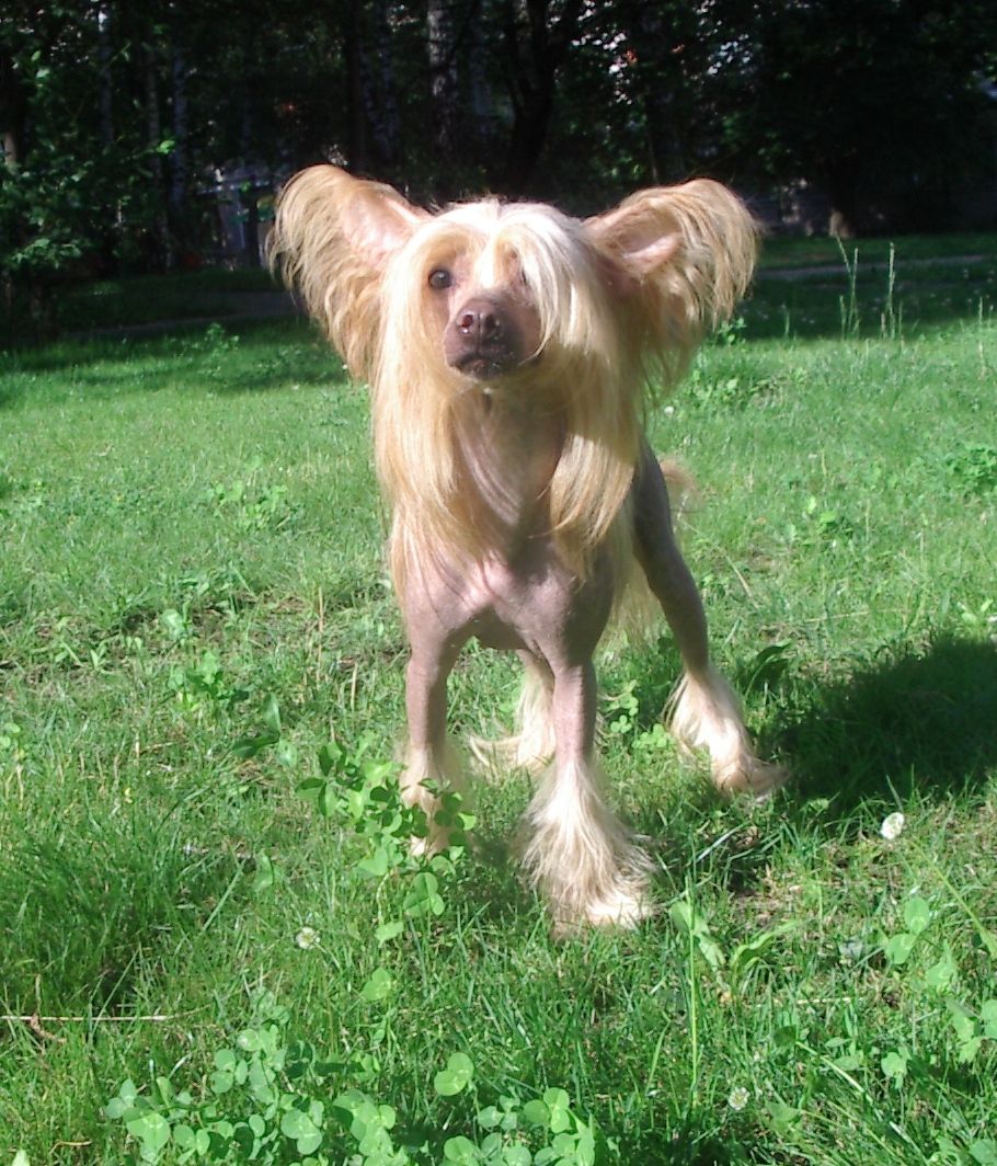 Orero Lovely Je T'aime Toi