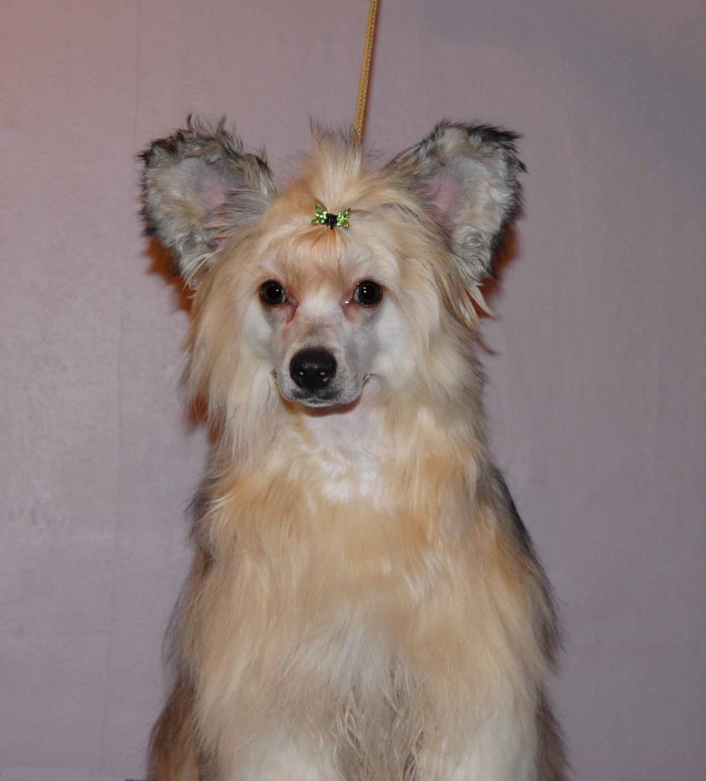 Orero Lovely Zhnatha