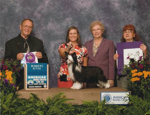 M.t.o. N' Wickhaven Lay All Your Love On Me